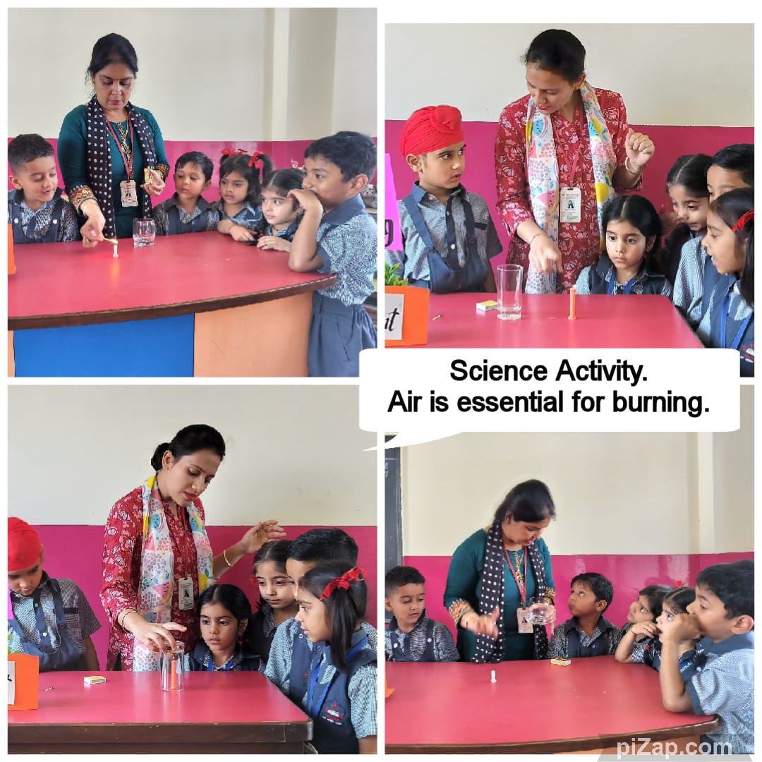 SCIENCE ACTIVITY II MAY 