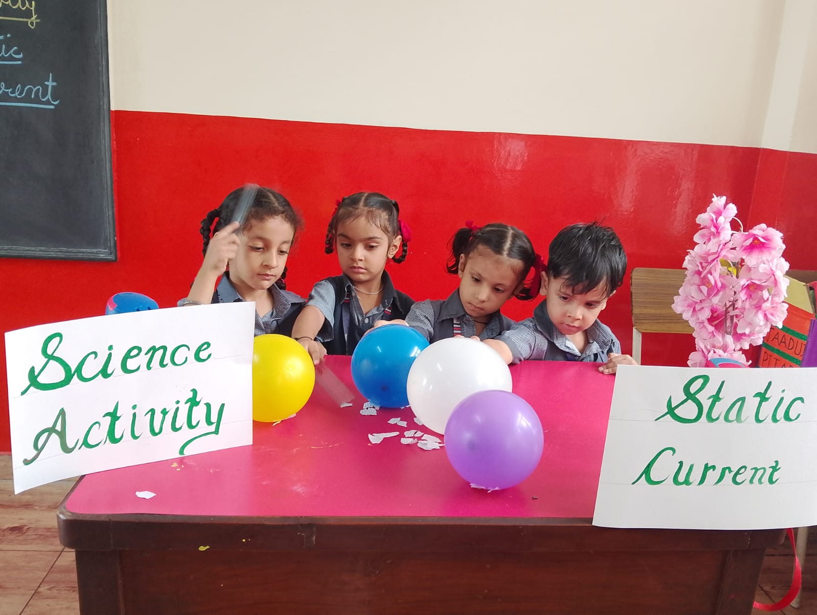 SCIENCE ACTIVITY II AUGUST 