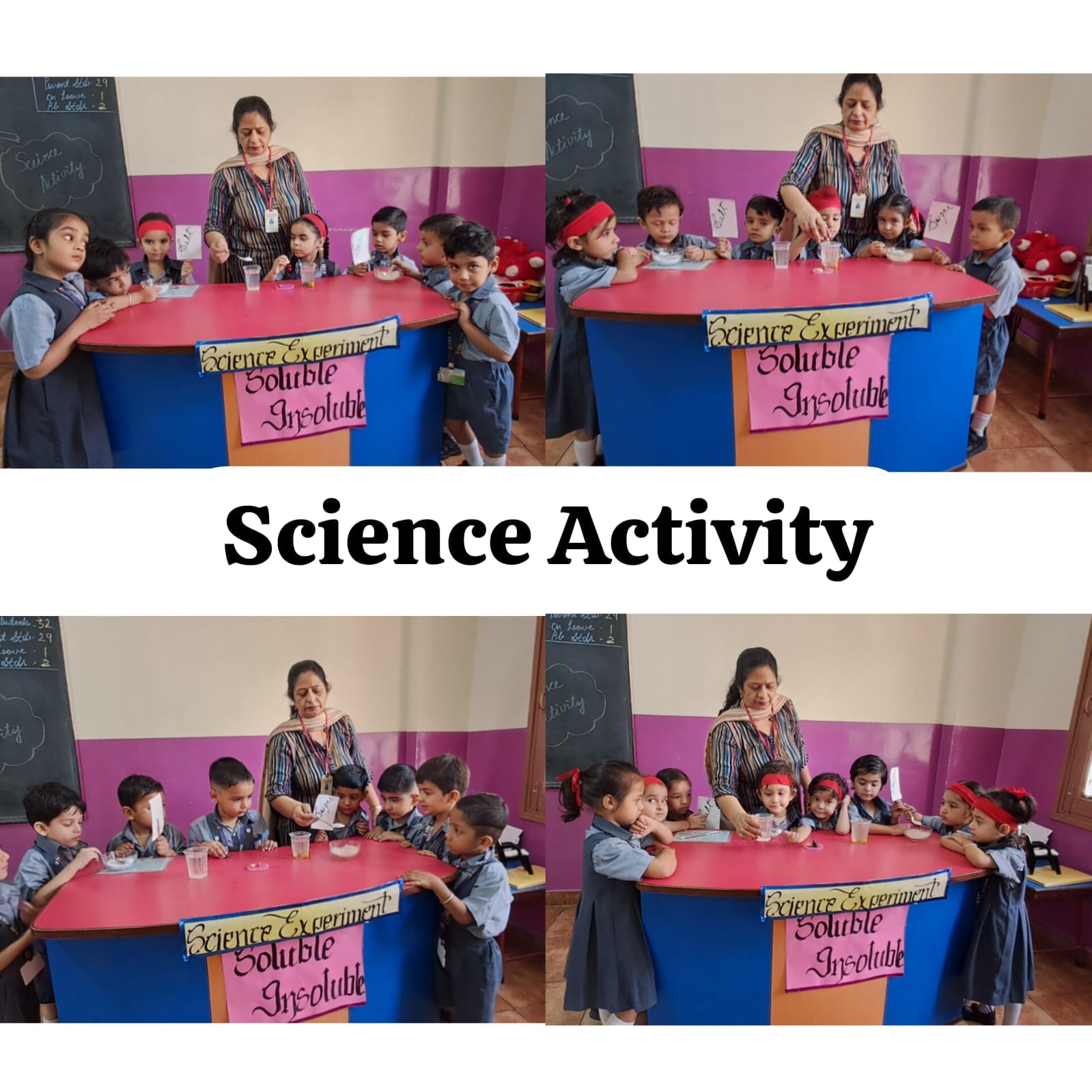 NURSERY ll SCIENCE ACTIVITY