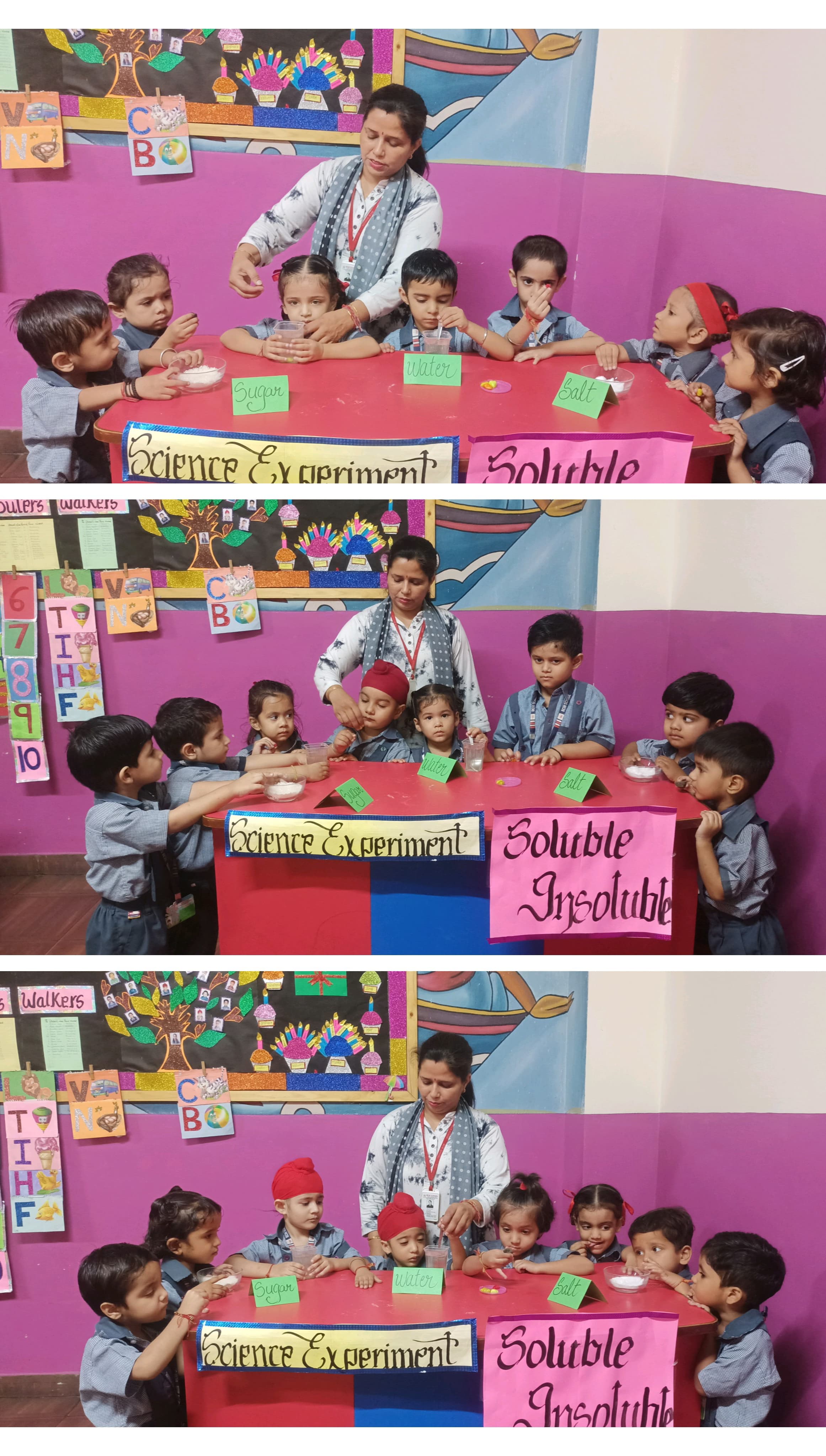 NURSERY ll SCIENCE ACTIVITY